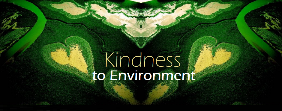 Kindness to Environment Kindness to Environment