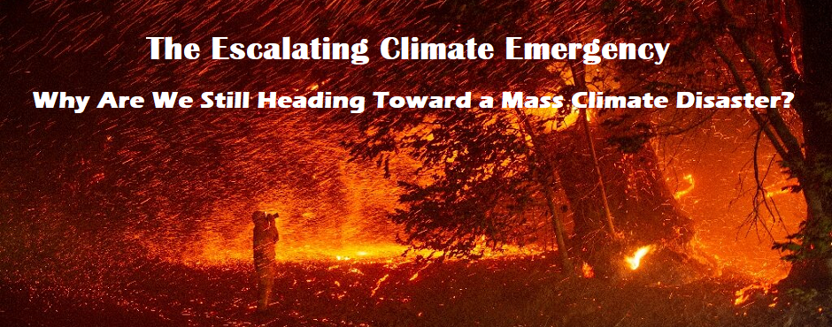 Global Challenge Question 1 – Climate Disaster Global Challenge Question 1 – Climate Disaster